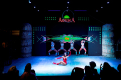 IMG_0105-2019_05_16-12_29_31-UTC