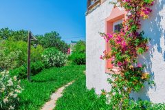 IMG_9975-2019_05_16-12_29_31-UTC